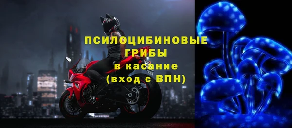 PSILOCYBIN Белоозёрский