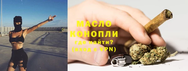 дмт Богородицк
