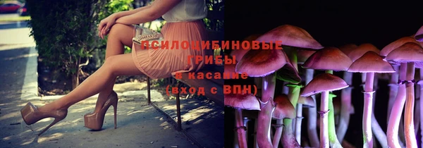 наркотики Белокуриха