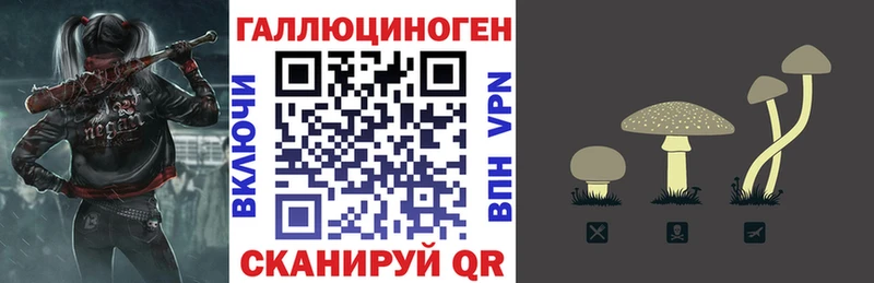 MEGA как зайти  как найти   Богородицк  Псилоцибиновые грибы MAGIC MUSHROOMS 